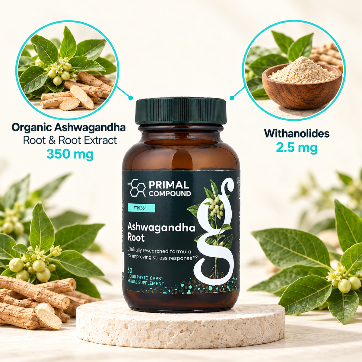 Ashwagandha Root – Calm & Stress Support