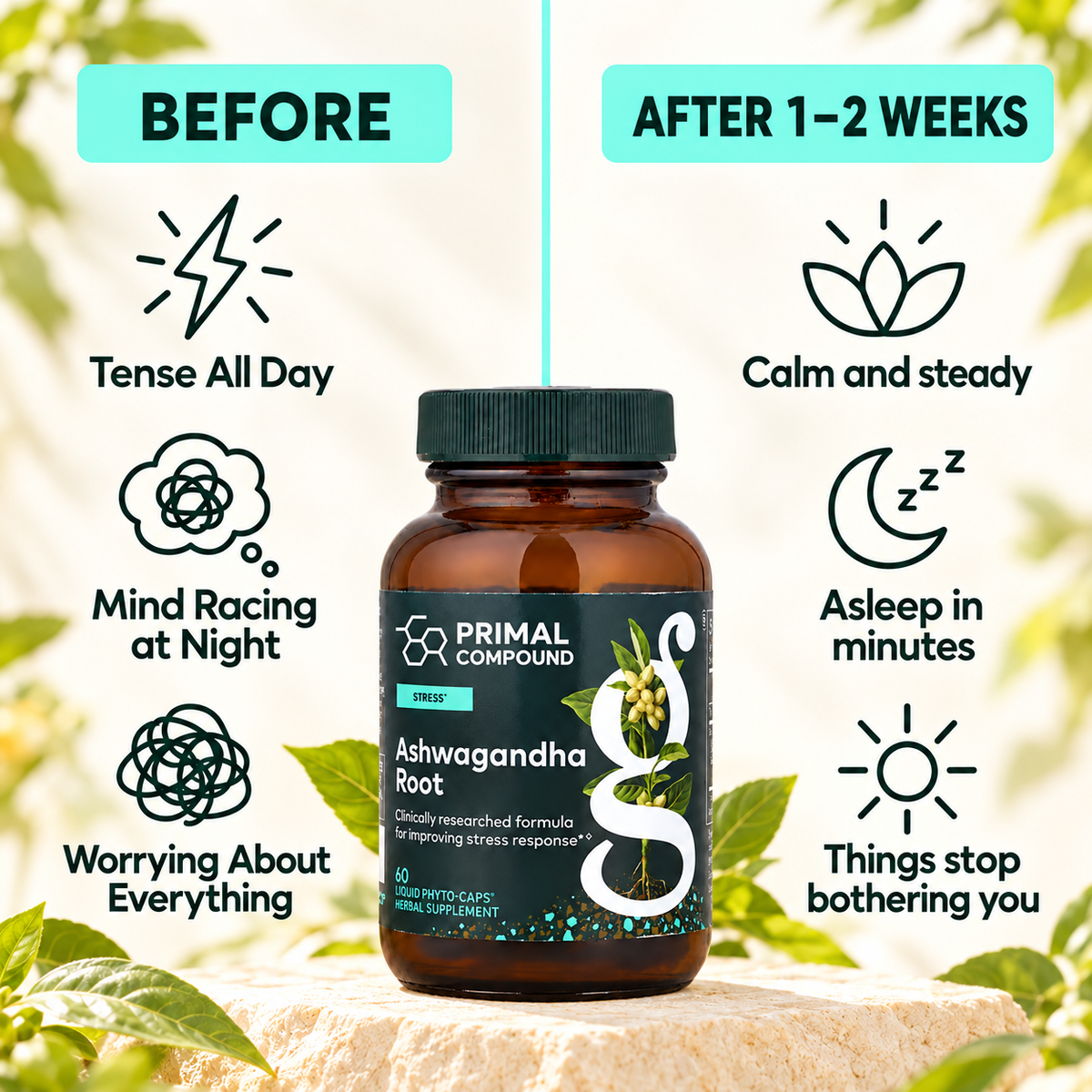 Ashwagandha Root – Calm & Stress Support