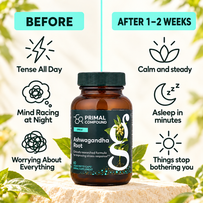 Ashwagandha Root – Calm & Stress Support