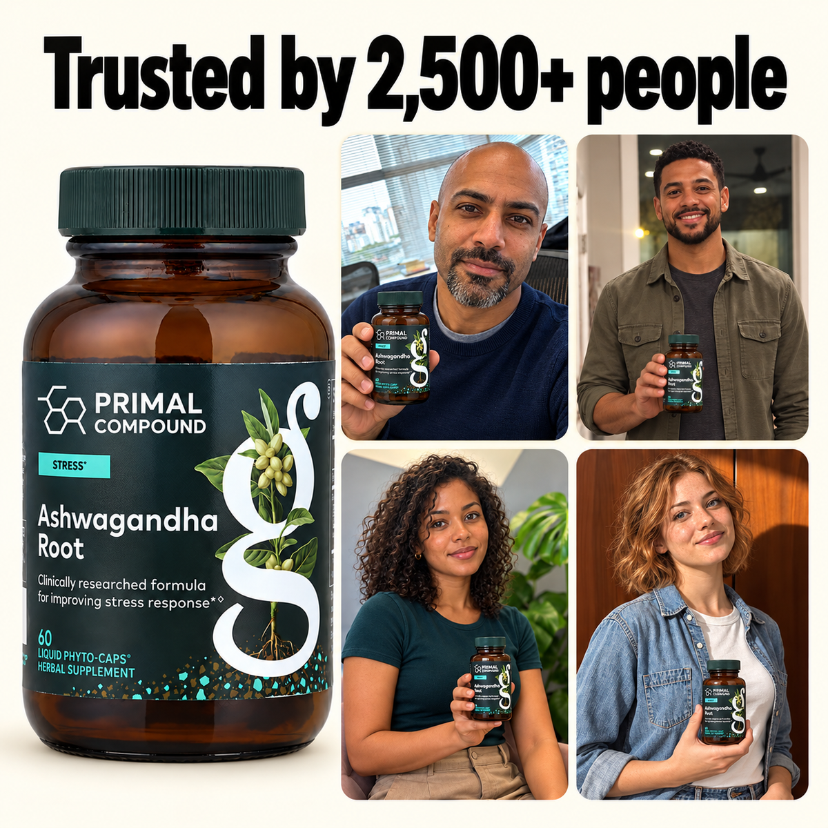 Ashwagandha Root – Calm & Stress Support